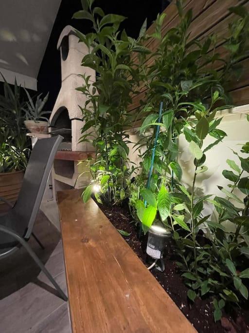Acropolis Lux Apartment Ateny Zewnętrze zdjęcie